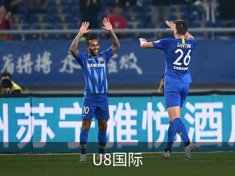 U8国际介绍