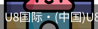 U8国际